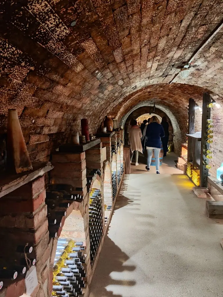 Gabriela Kopackova_Penzion & Sklep 