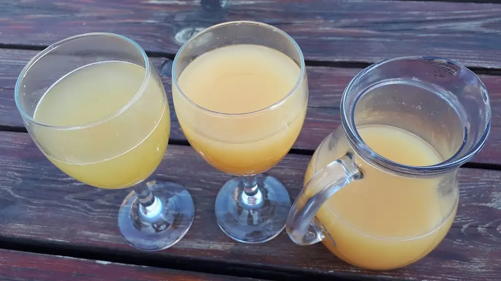 Menu_Pension V Zahraničí_Bořetice_image_4