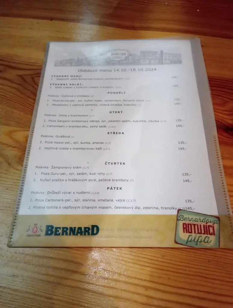 Menu_Pizzeria Restaurant Venezia_Boskovice_immagine_1