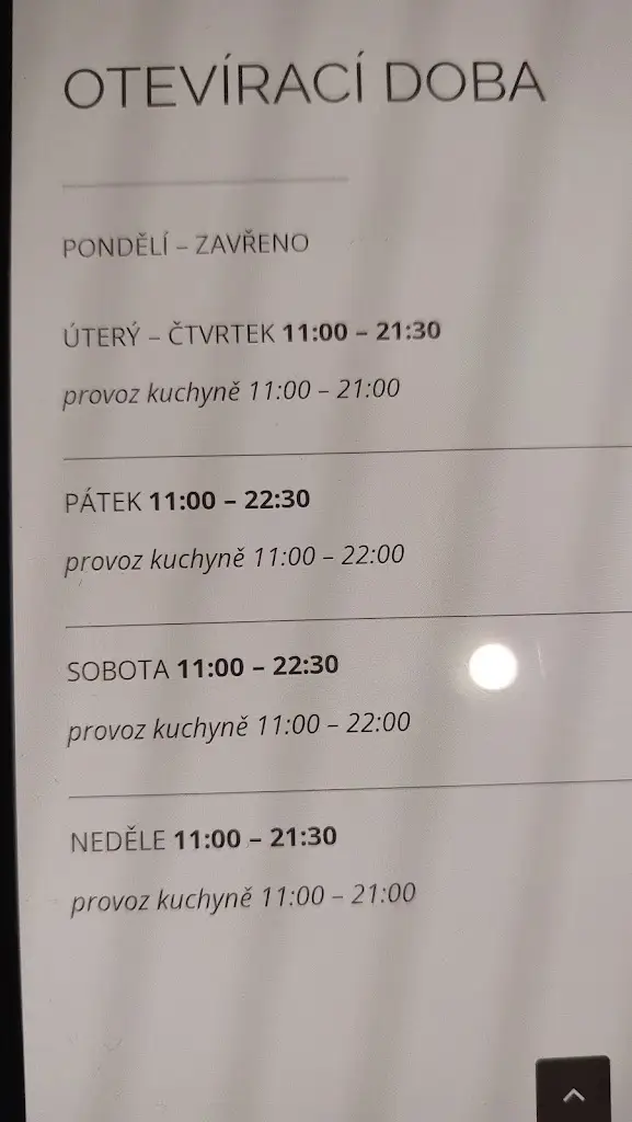 Menu_Pizzeria Restaurant Venezia_Boskovice_immagine_2