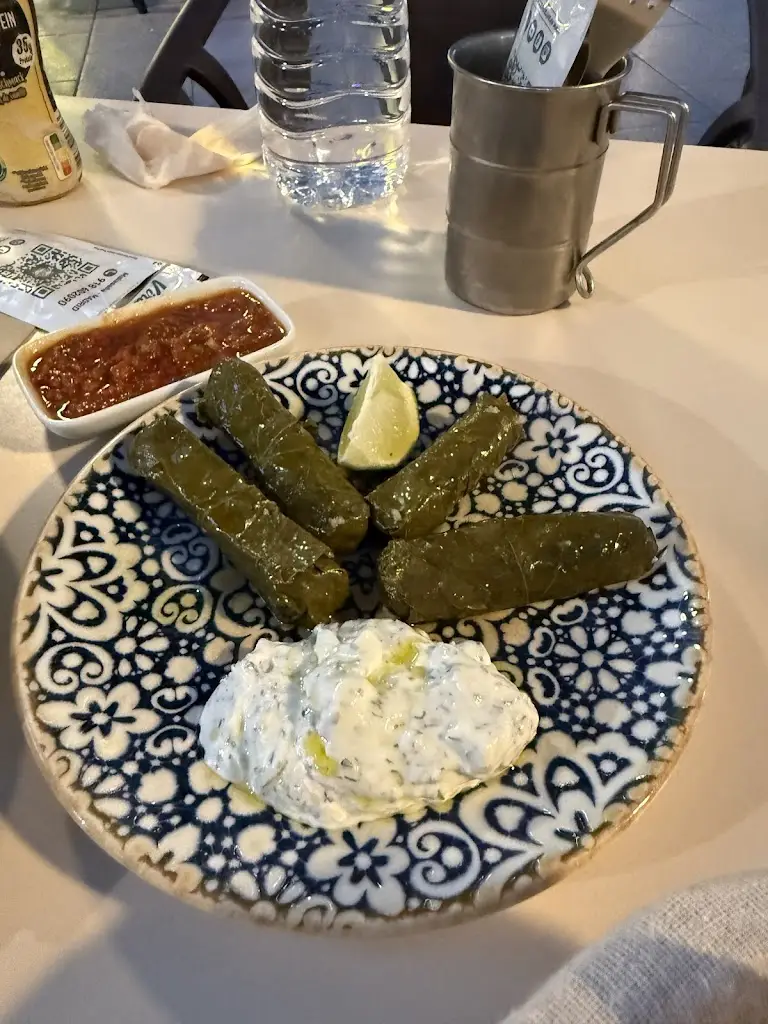 Stephanie Franchi_Vira Vira Meze Bar_Borek_review