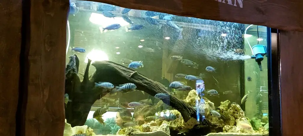 Steak House Codys_Břeclav_slider_image_2