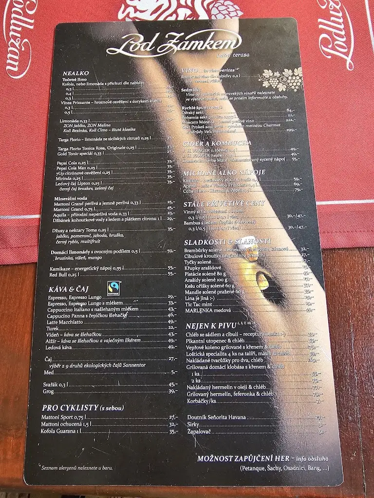 Menu_Letní zahrádka U Kapra_Břeclav_image_1