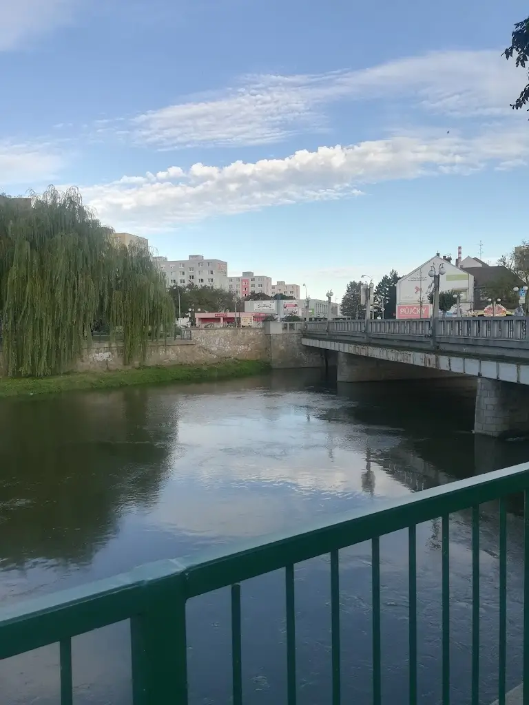 Věra Podušelová_Moravska pivnica_Břeclav_review