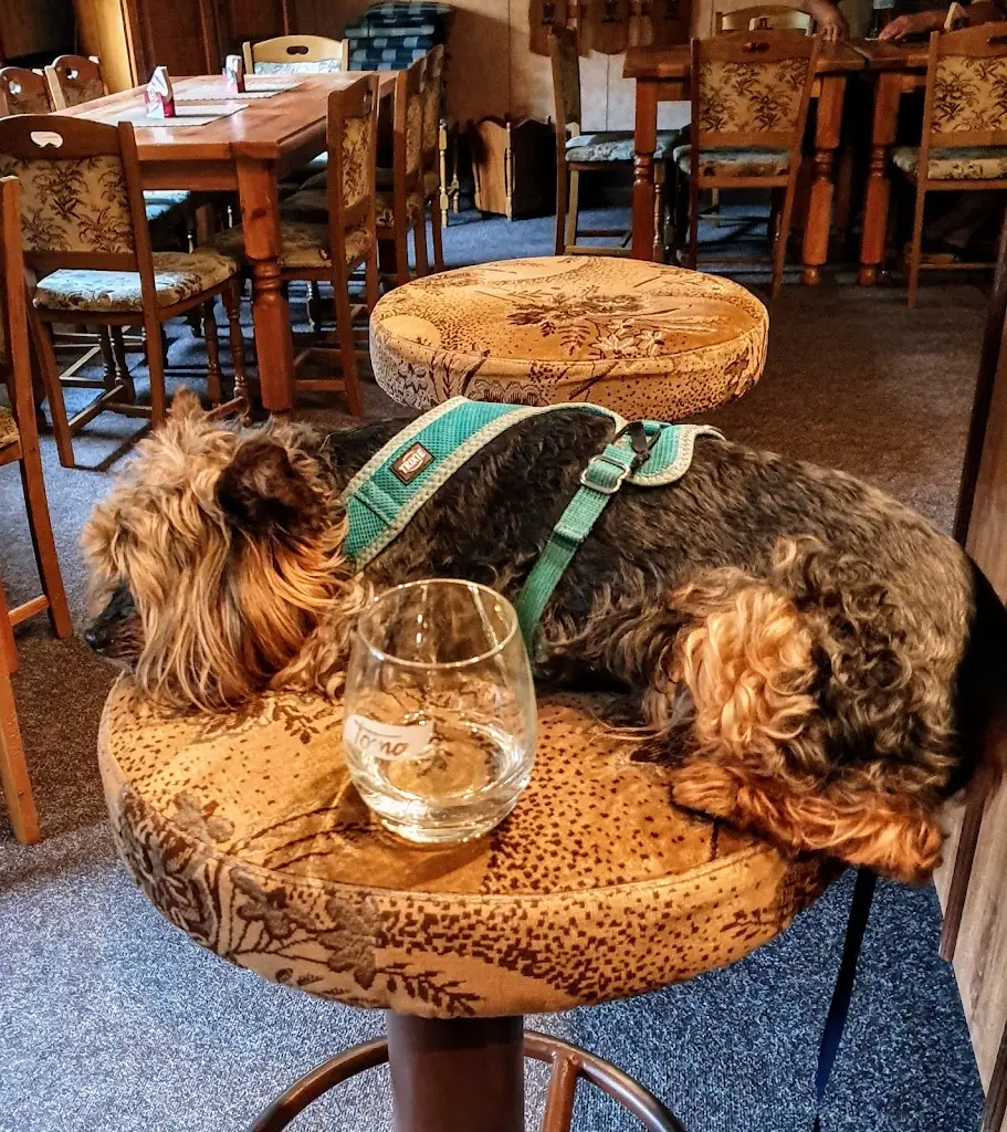 Domácí knedlík z Dubiče_Břeclav_slider_image_3