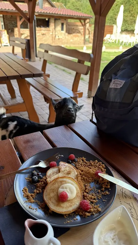 Tim_Lanový Park Hájenka Břeclav_Břeclav_recensione