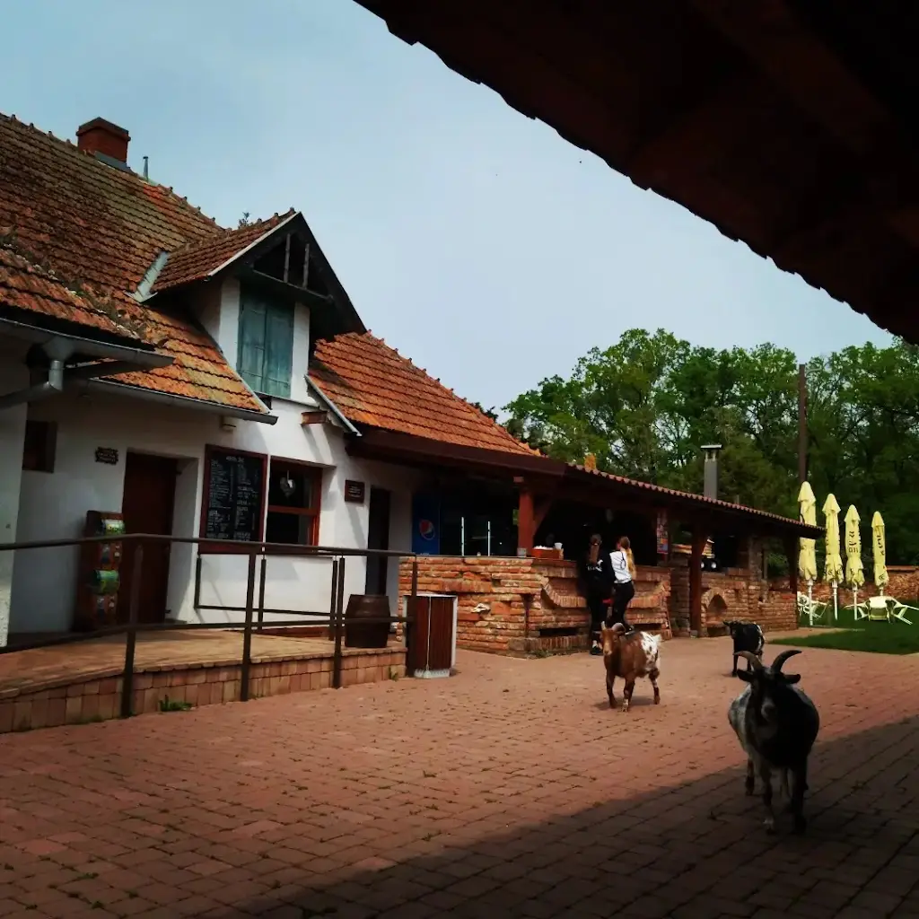 Pavlina Novakova_Lanový Park Hájenka Břeclav_Břeclav_recensione