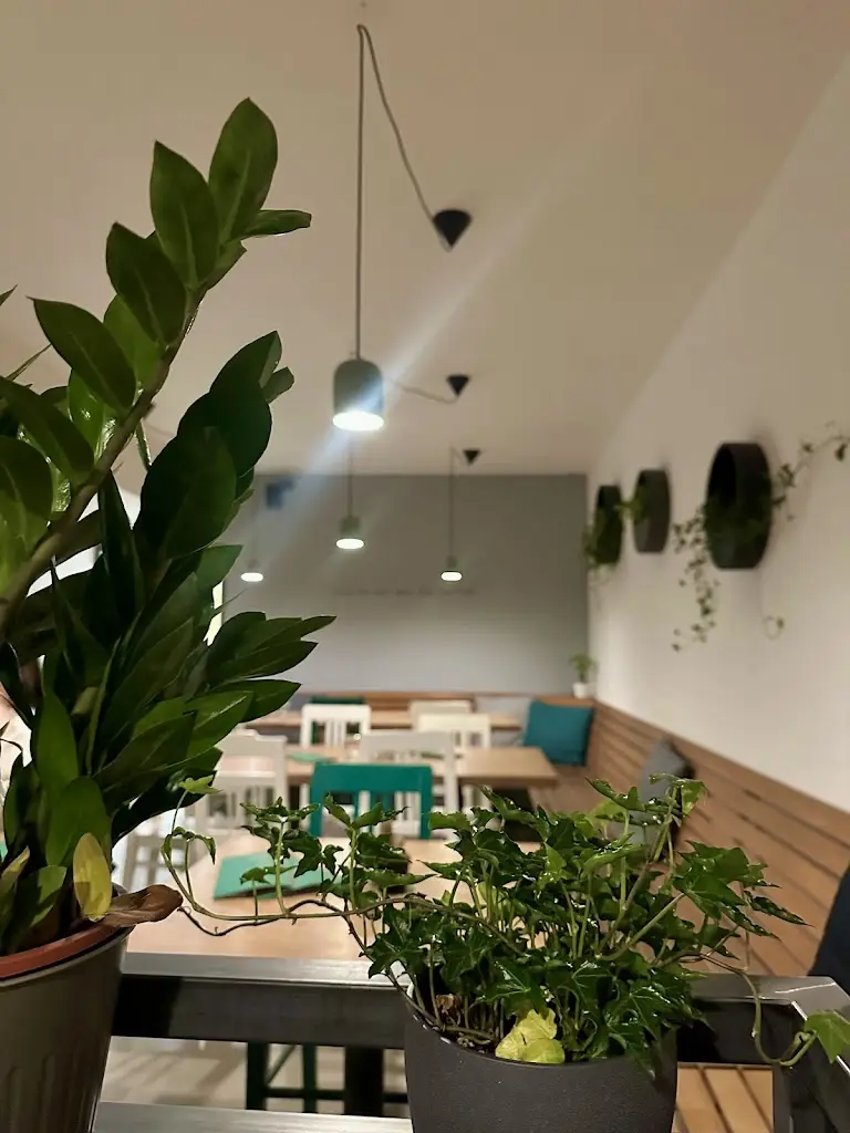 Sara Latinovic_Soul Bistro_Brno_review