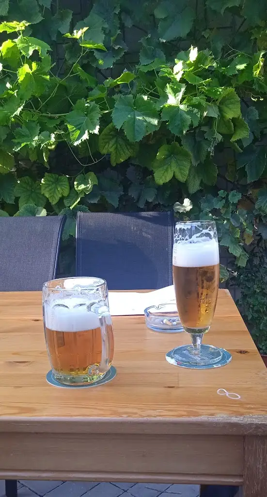 Menu_Hospůdka ve vinařství_Bzenec_image_4