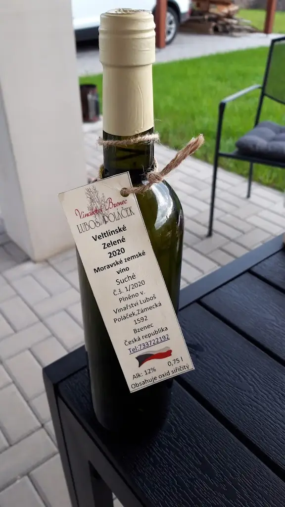 Michal Bartášek_Hospůdka ve vinařství_Bzenec_review