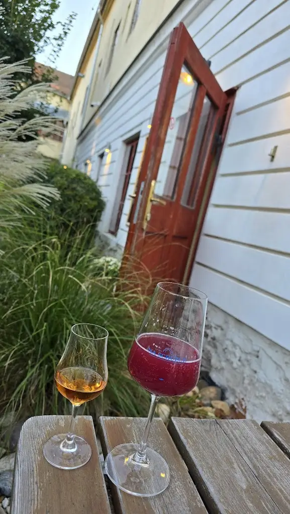 Jakub Syrový_Sauna 7.13 s.r.o._Dolní Kounice_review