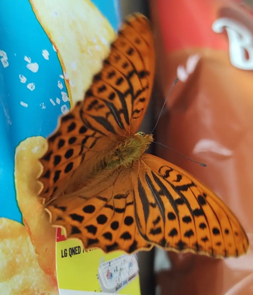 Občerstvení na mostě_Dolní Loućky_slider_image_2