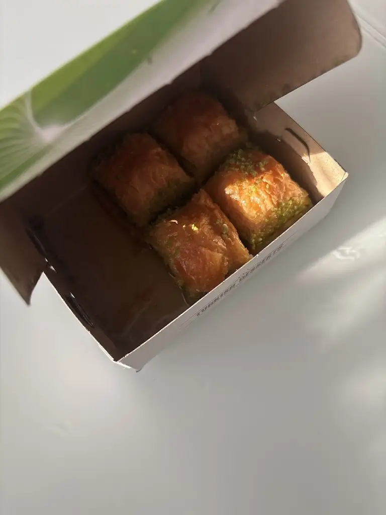 Jana Haverová_Mega kebab_Hlohovec_recensione