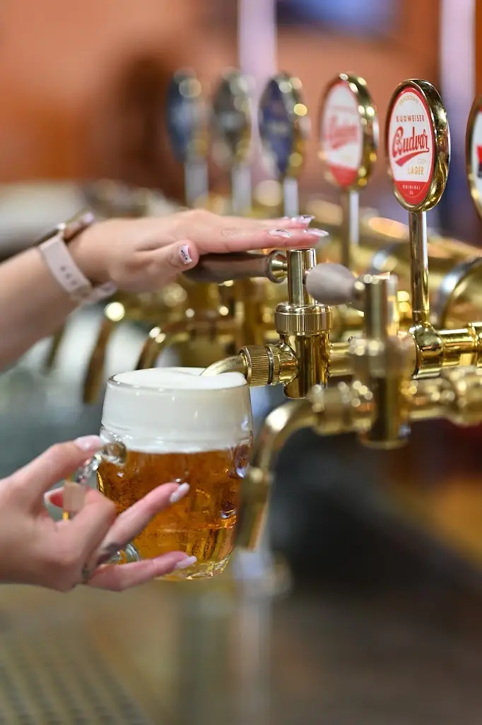 Pivnice Budvarka na Měšťanské, Hodonín_Hodonín_slider_image_2