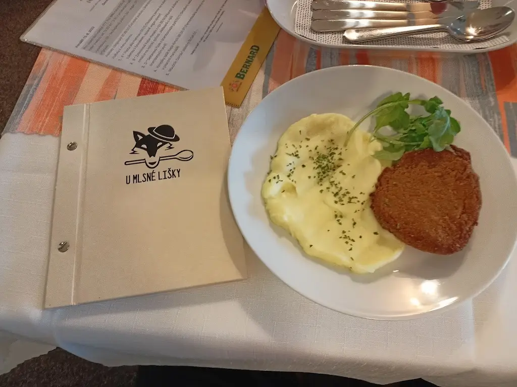 Menu_U Mlsné Lišky - Veganská & vegetariánská restaurace_Hodonín_image_5