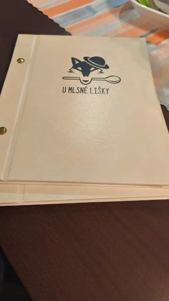 Denon_U Mlsné Lišky - Veganská & vegetariánská restaurace_Hodonín_review