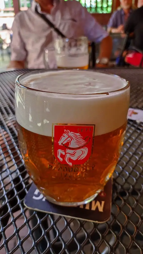 Patrik Ridzoň_Hospoda Pod Sedmičkou_Hodonín_recensione