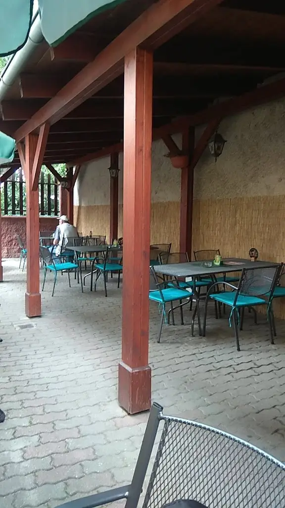 Aleš Janík_Hospoda Pod Sedmičkou_Hodonín_recensione