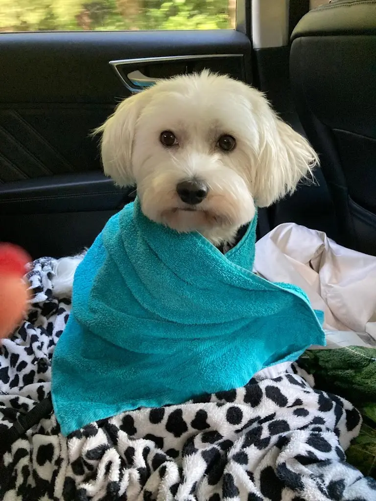 Marian Baláž_Restaurace Krystal Hodonín_Hodonín_review