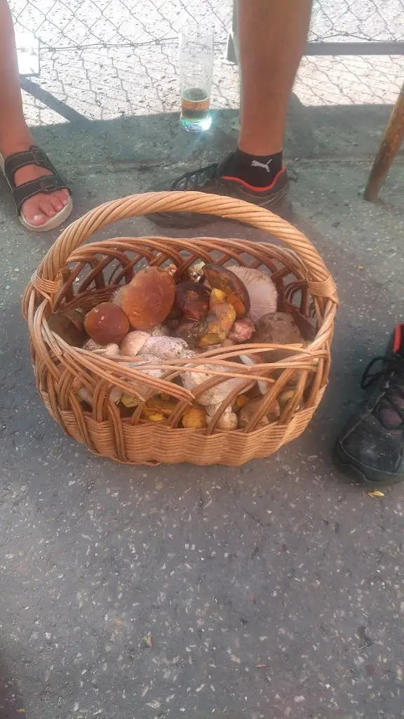 Menu_Restaurace Morava_Hodonín_image_1