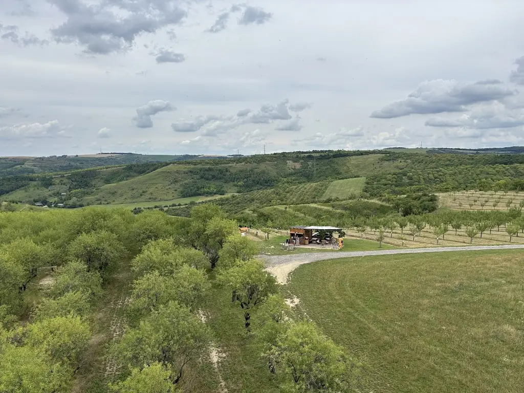 K H_Mandlárna - bistro u sadu_Hustopeče_review