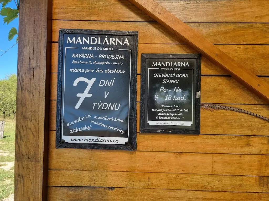 Ilona Bursíková_Mandlárna - bistro u sadu_Hustopeče_review