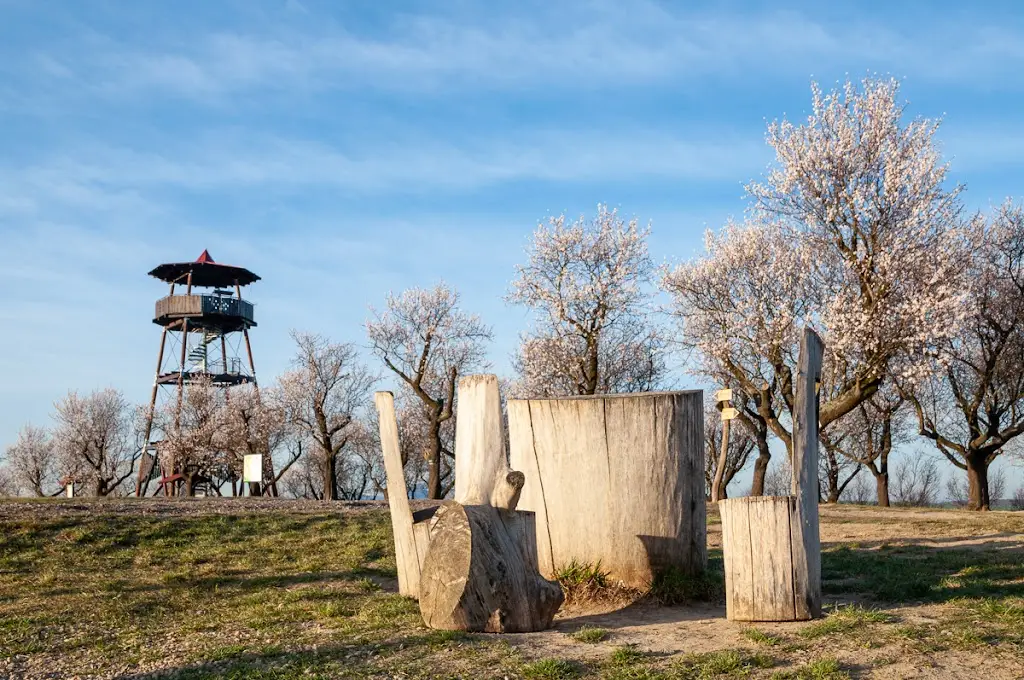 Mandlárna - bistro u sadu_Hustopeče_slider_image_3