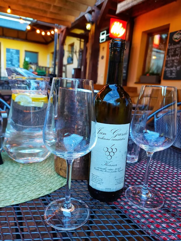 Tomáš Havel_U Gazdů_Jaroslavice_review