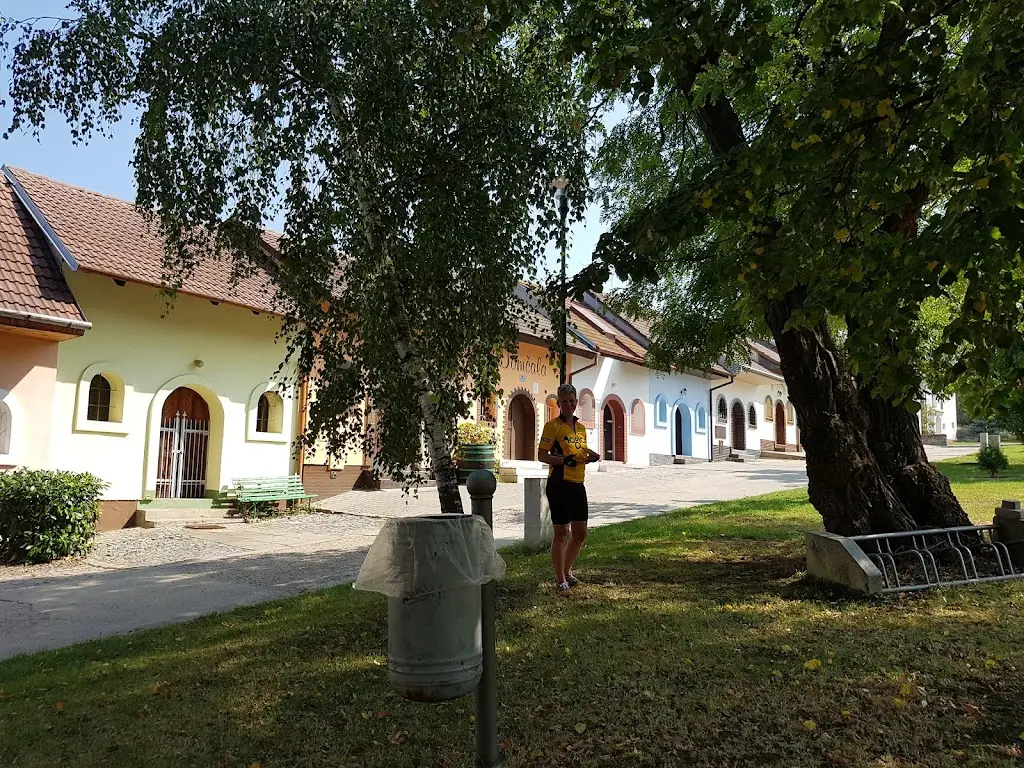 Synot_Kobylí_slider_image_3