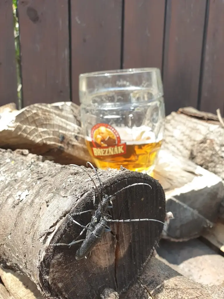 Menu_Na Poňavě_Lelekovice_image_4