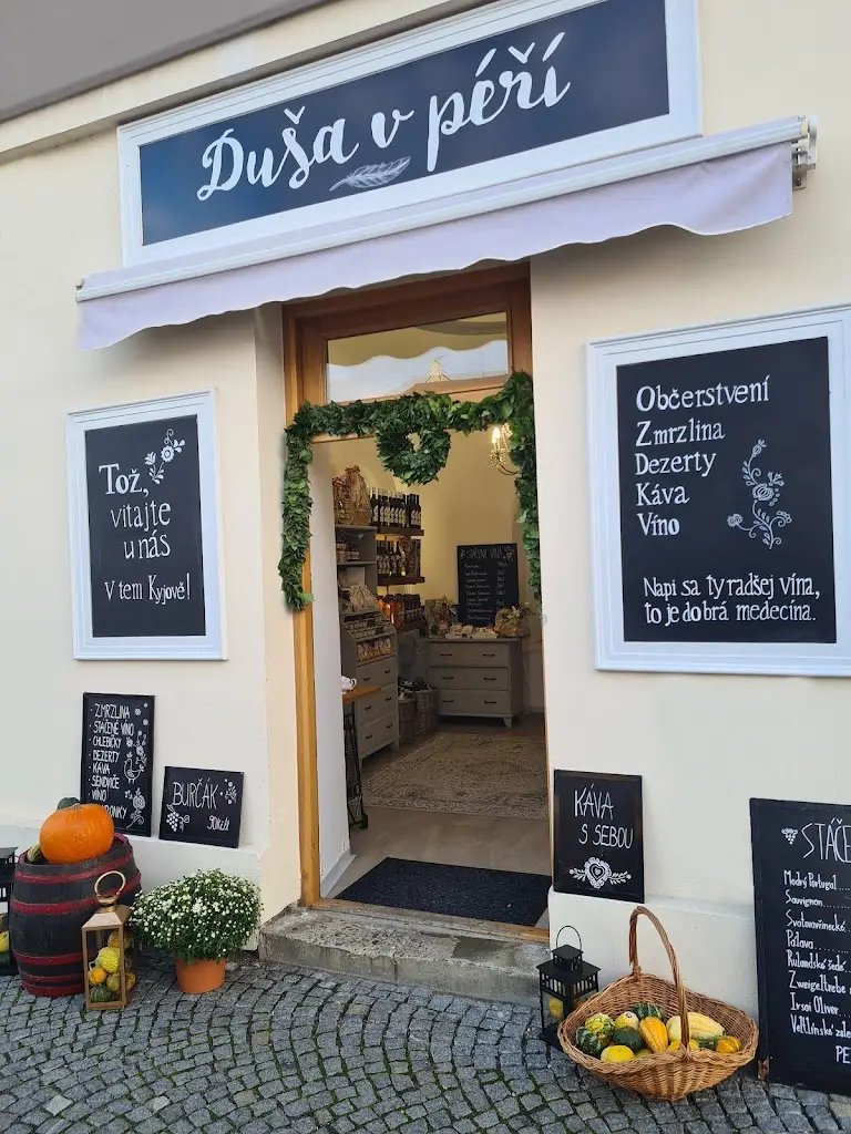 Menu_Duša v péří - bistro s regionálními produkty_Kyjov_image_3