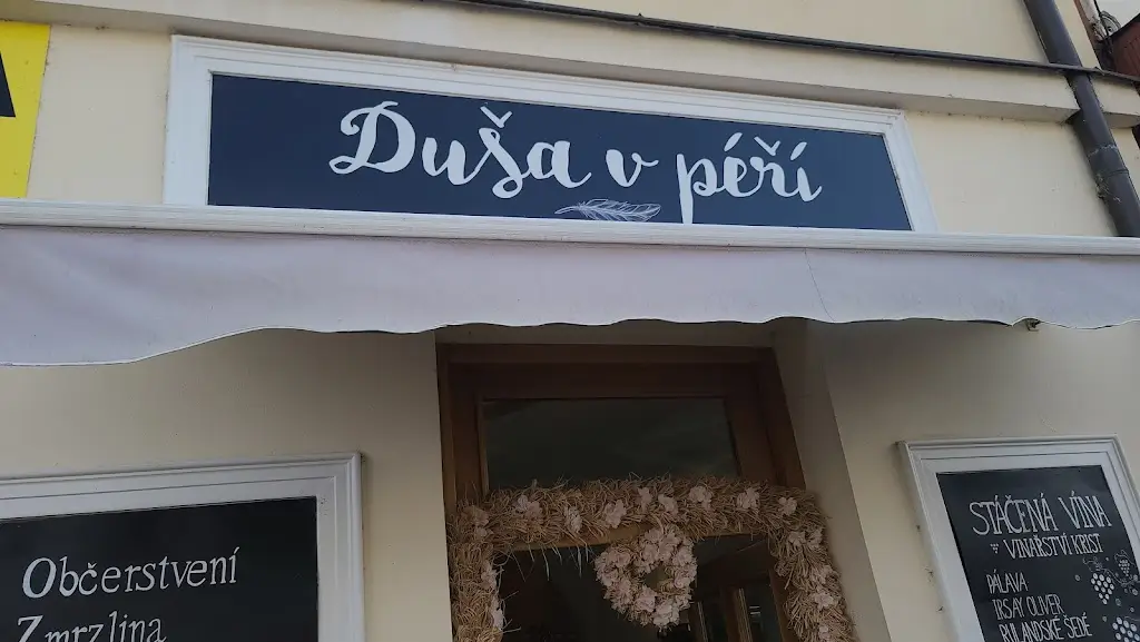 Buster Got it_Duša v péří - bistro s regionálními produkty_Kyjov_review