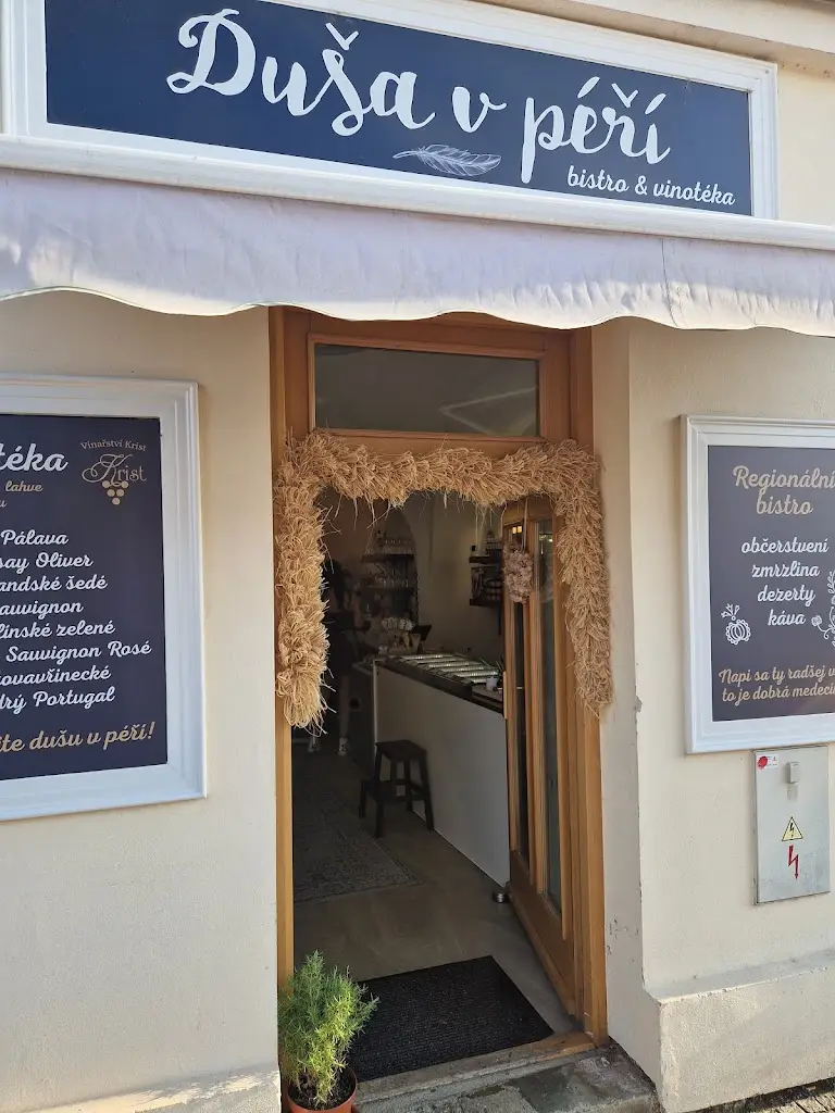 Andrea Pre_Duša v péří - bistro s regionálními produkty_Kyjov_review