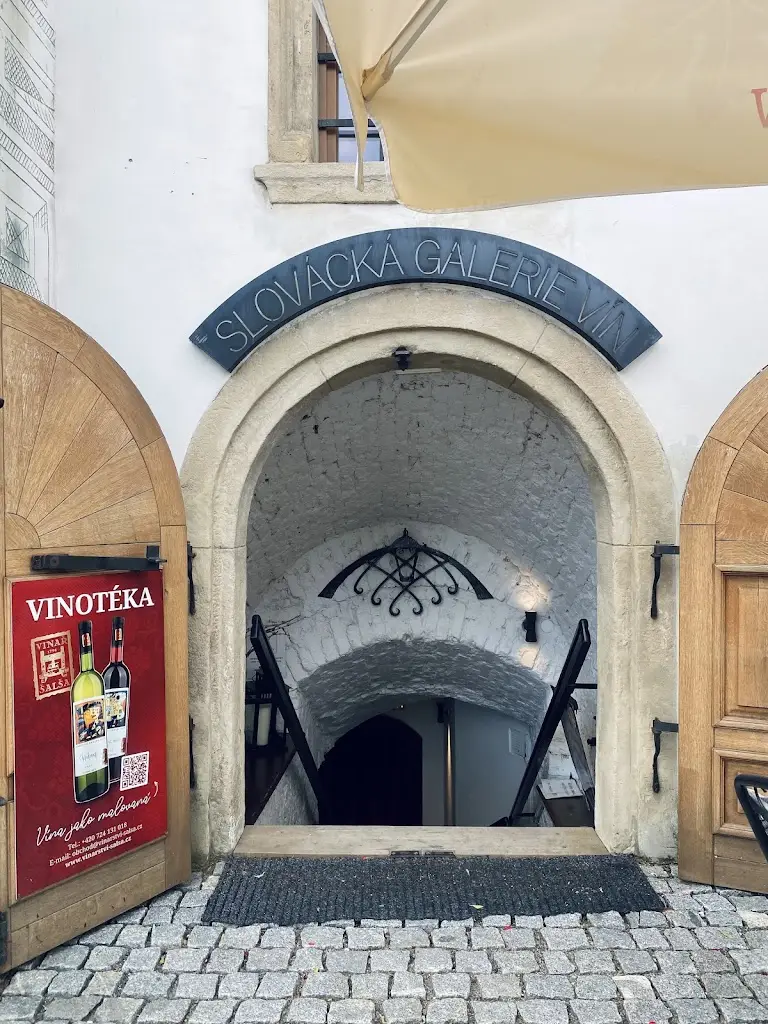 Hana Steffani (Photography)_Slovácká galerie vín_Kyjov_review