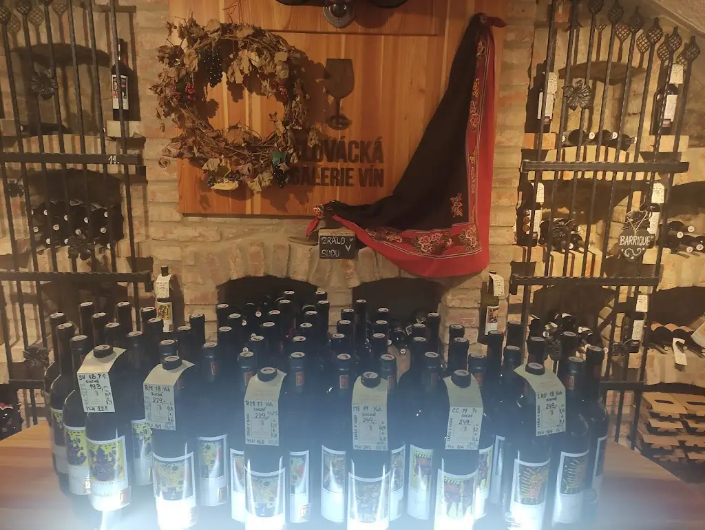 Roman Kořínek_Slovácká galerie vín_Kyjov_review