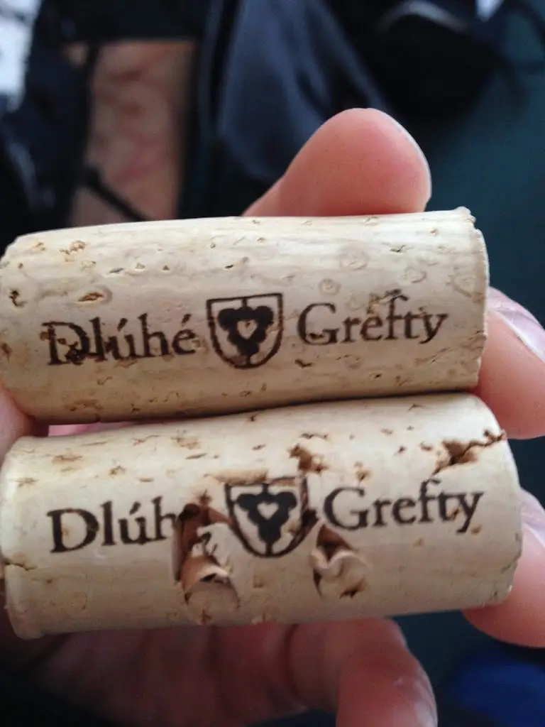 Martin Smutek_Slovácká galerie vín_Kyjov_review