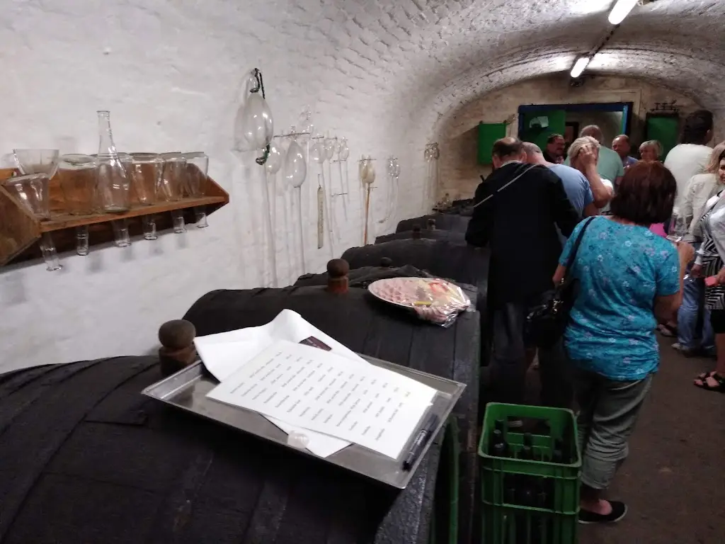 Anatolii Sakharov_Vinný sklep u Sedlářů_Kyjov_review