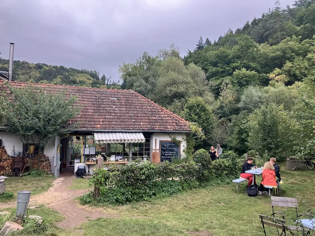 Anna Janošková_Bistro Zámecký mlýn_Lomnice_review