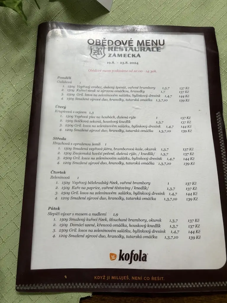 Kryštof H._Zámecká restaurace Lysice_Lysice_review