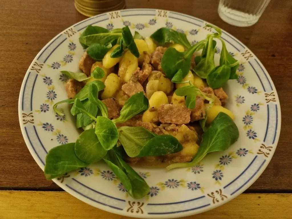 Lior Blum_VeggieDick_Mikulov_review