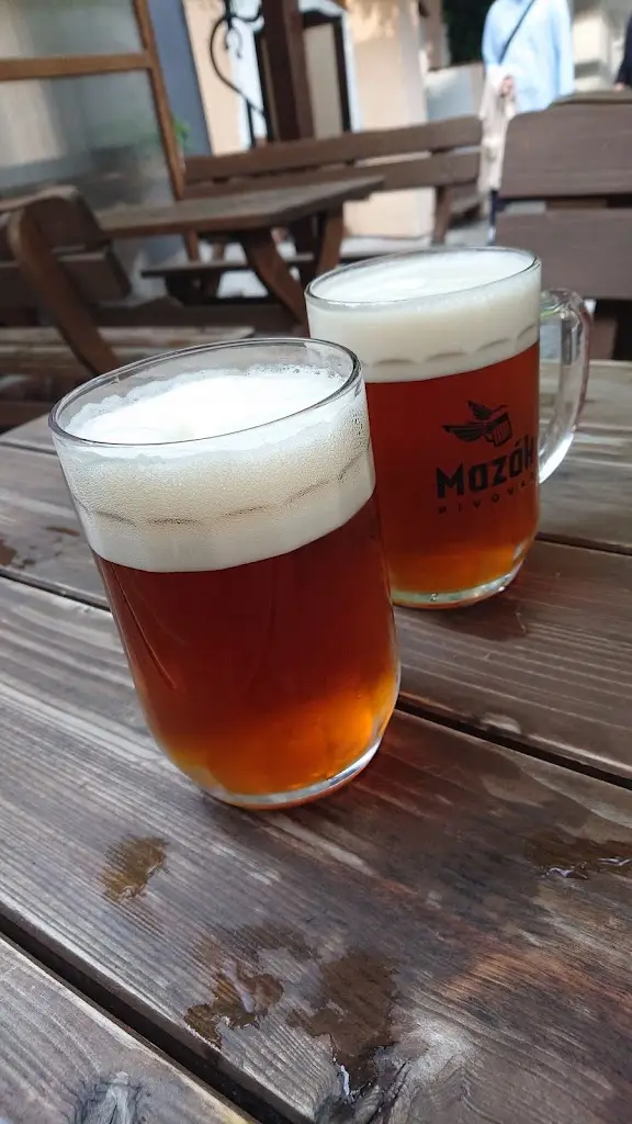 konejpl x_Pivnice U devatero řemesel_Mikulov_review