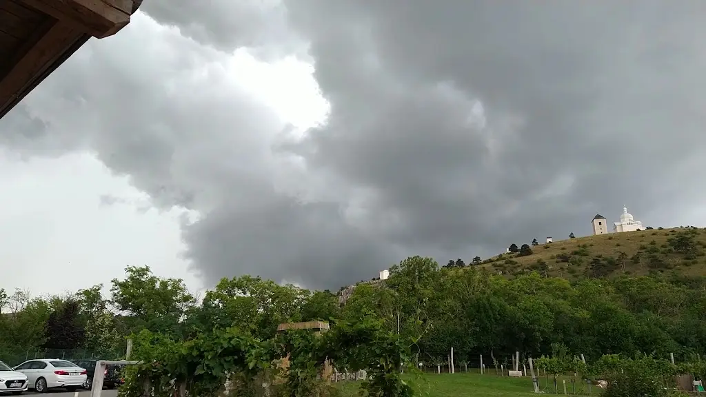 Marie-José Oomen_Restaurace Ryzlink_Mikulov_review