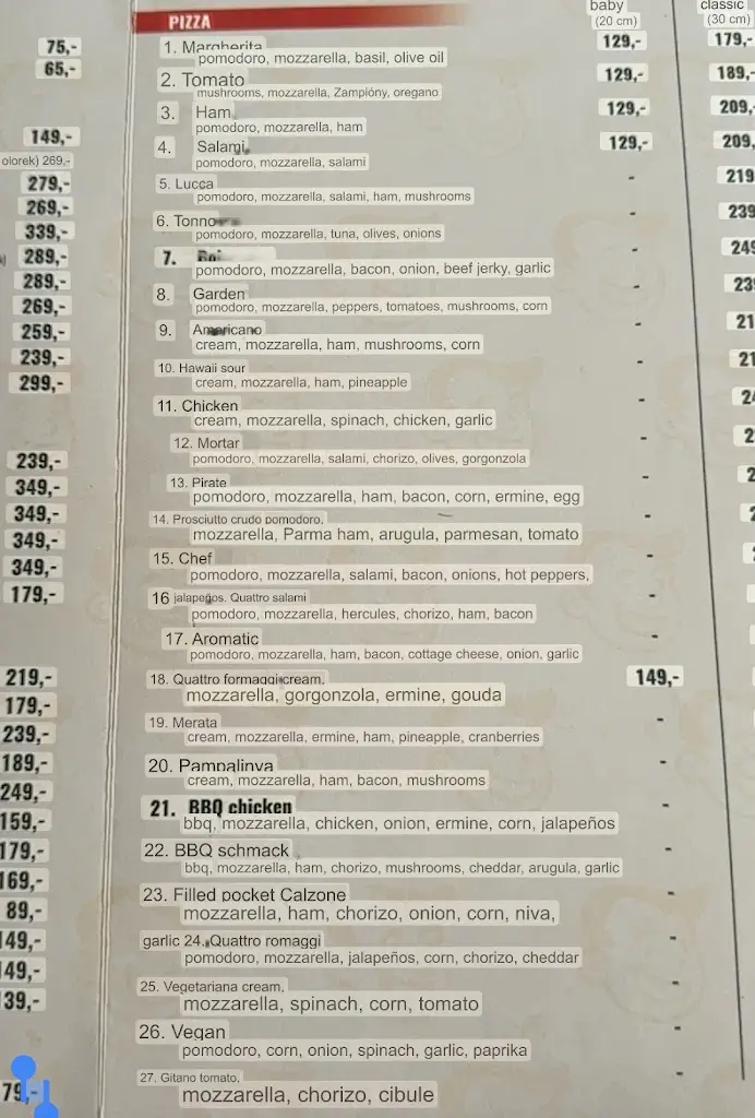 Sneha Chandra_𝐓𝐨𝐦𝐦𝐲 𝐏𝐢𝐳𝐳𝐚 & 𝐁𝐮𝐫𝐠𝐞𝐫_Mikulov_review