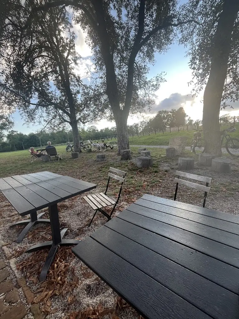 Lucia Cabajová_BISTRO PORTZ INSEL_Mikulov_review