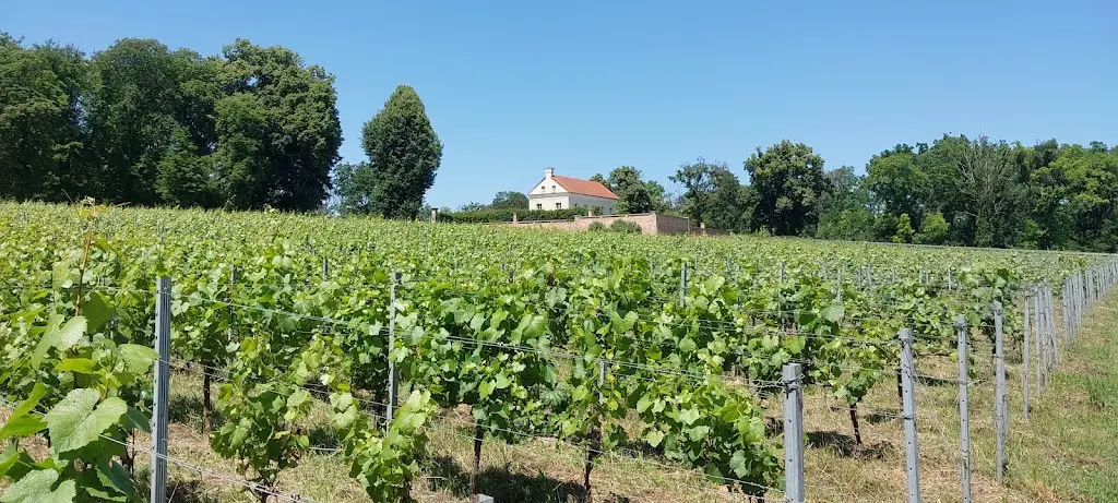 Peter Šidlo_BISTRO PORTZ INSEL_Mikulov_review