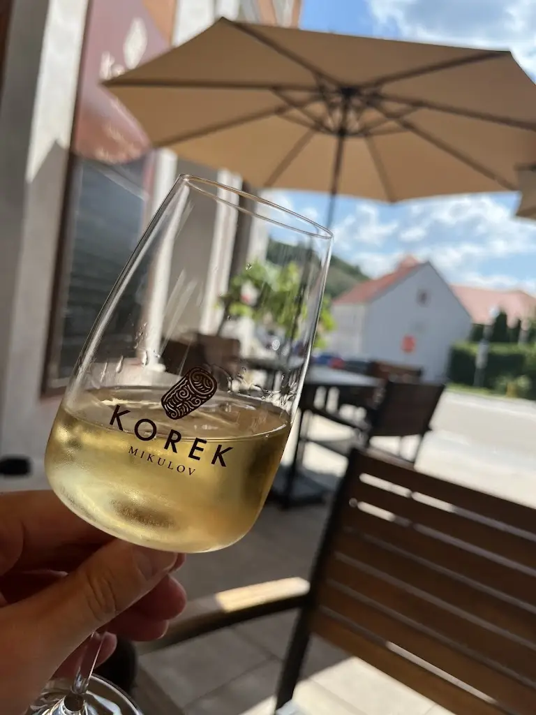 Peter Beliš_KOREK Mikulov_Mikulov_review