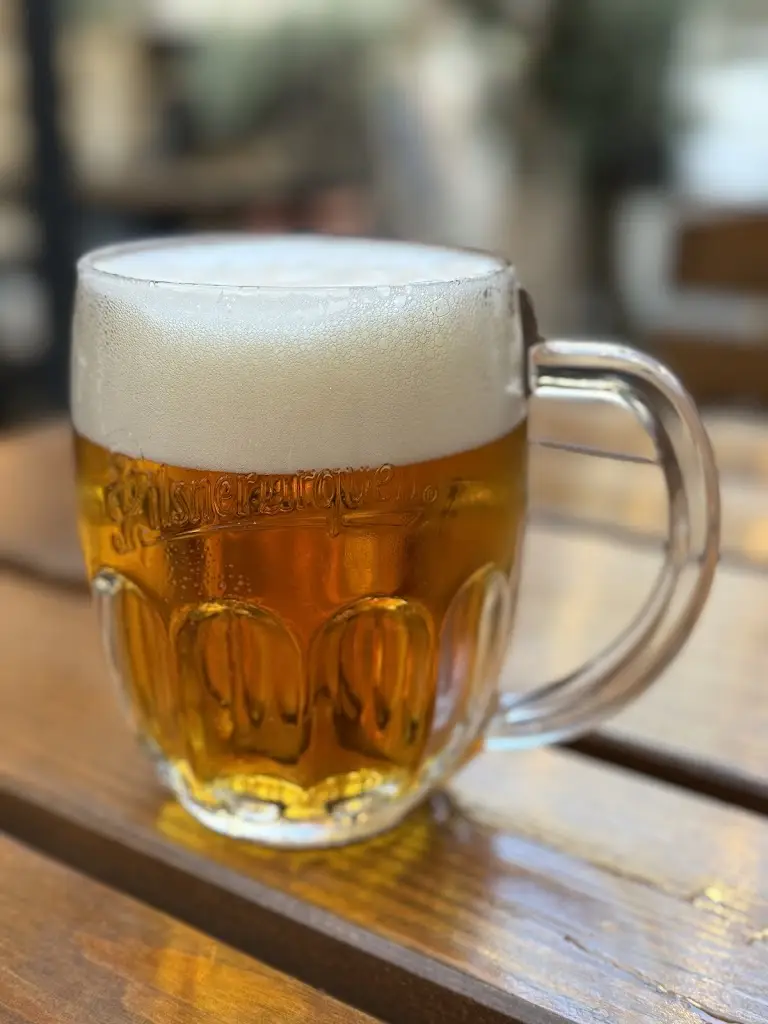 Pavel Chmelař_𝐇𝐚𝐯𝐚𝐧𝐚 𝐛𝐚𝐫 𝐌𝐢𝐤𝐮𝐥𝐨𝐯_Mikulov_review