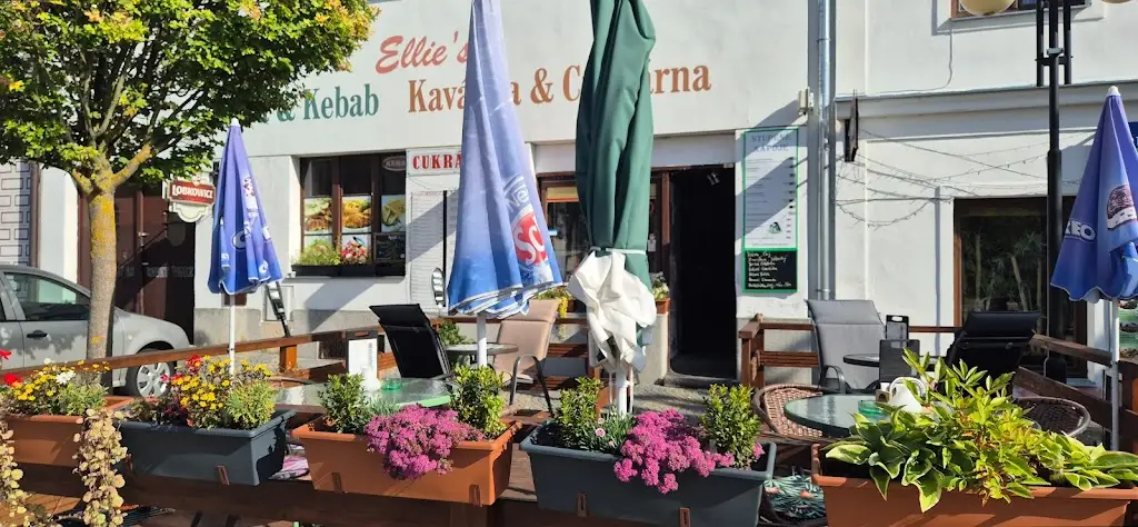 Ellie's Pizza & Kebab_Bechyně_slider_image_1