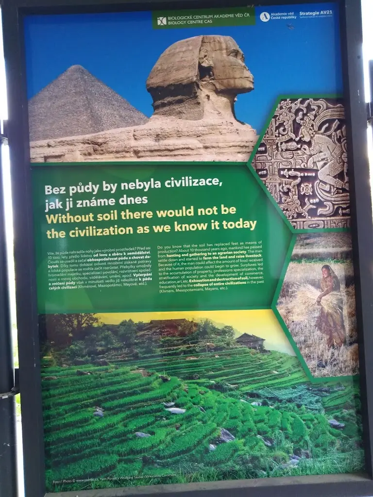 Vivian Gilliam_University of South Bohemia České Budějovice_České Budějovice_review