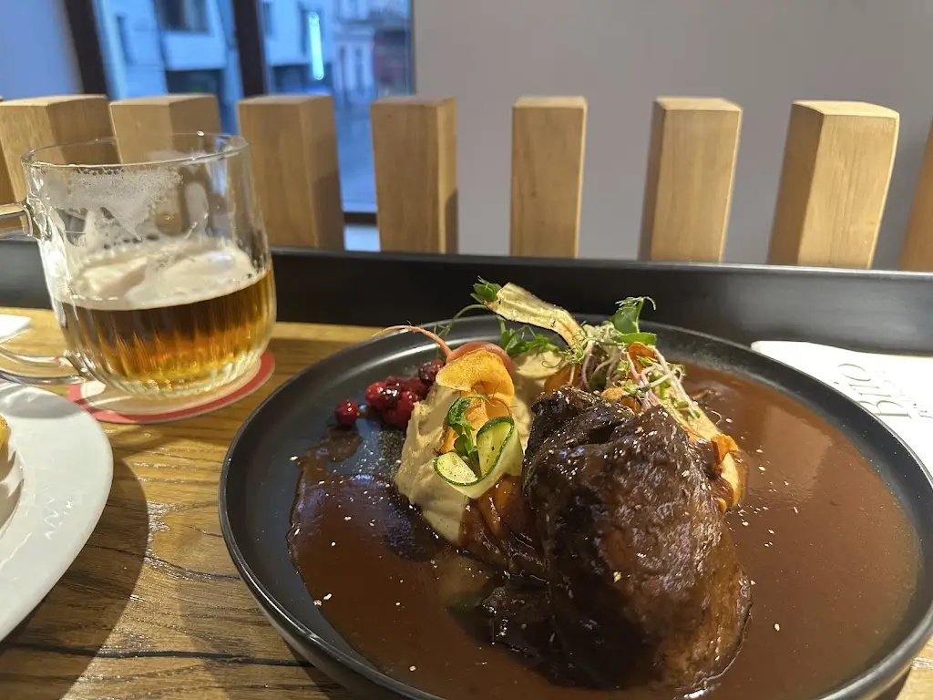 Haoge Xu_BRIO Restaurant_České Budějovice_review